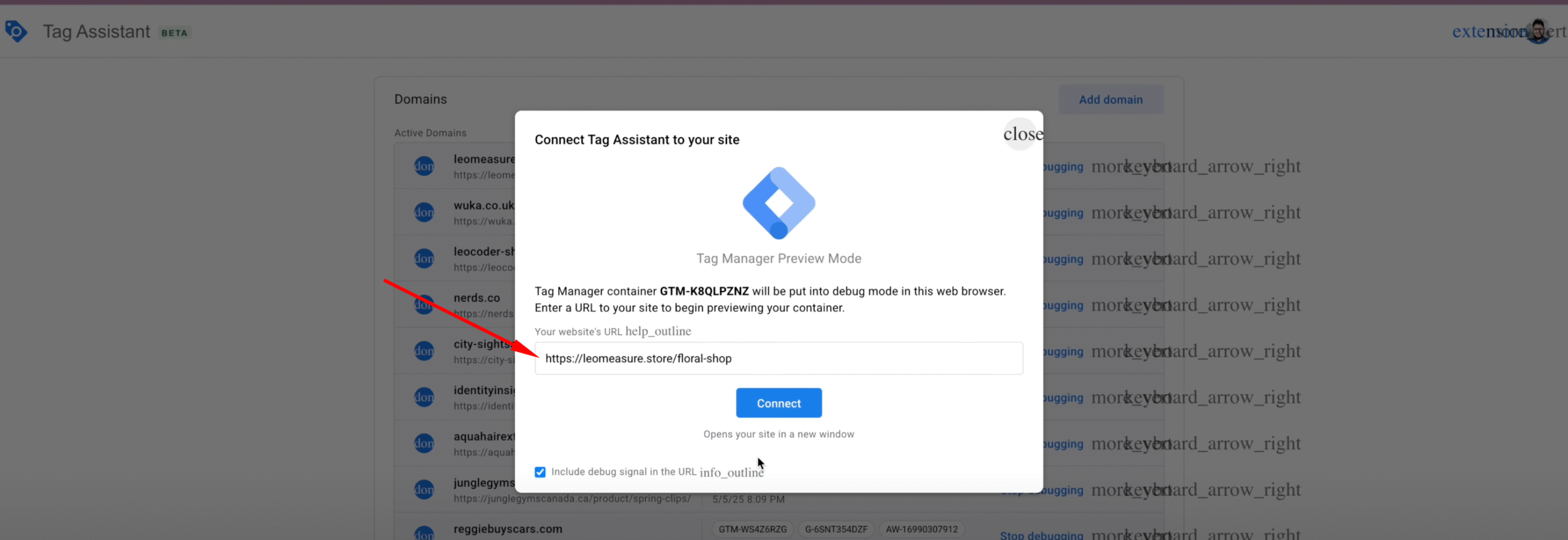 Google Tag Manager Preview